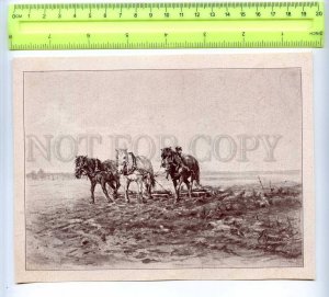 255527 RUSSIA Vrangel HORSES On arable land Old POSTER CARD