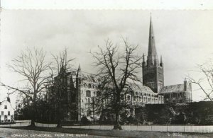 Norfolk Postcard - Norwich Cathedral from The Close - Real Photo - Ref 11240A