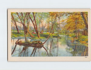 Postcard River Trees Nature Landscape Scenery