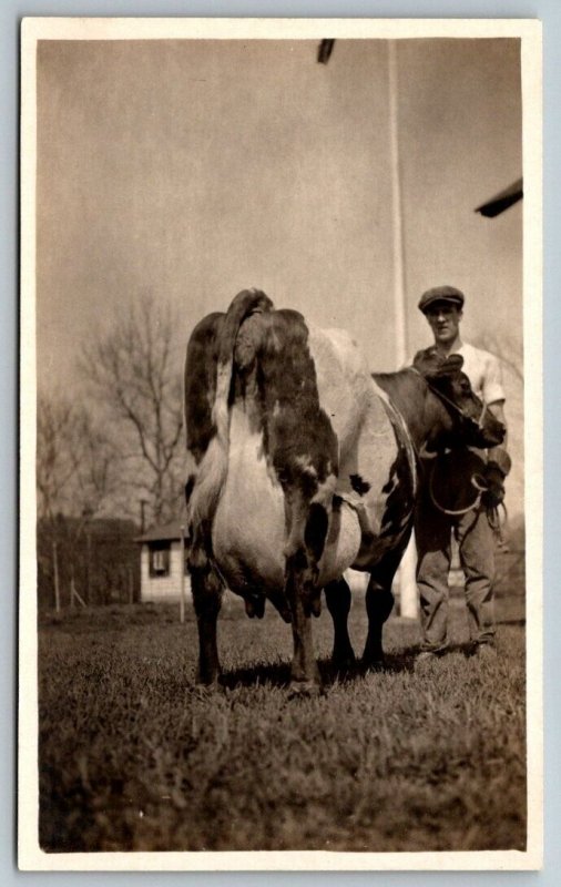 RPPC  Farmer With Cow Called Princess Thelma   c1910  Postcard