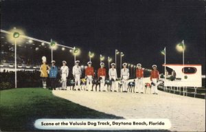 Daytona Beach Florida FL Volusia Dog Track Racing Linen Vintage Postcard