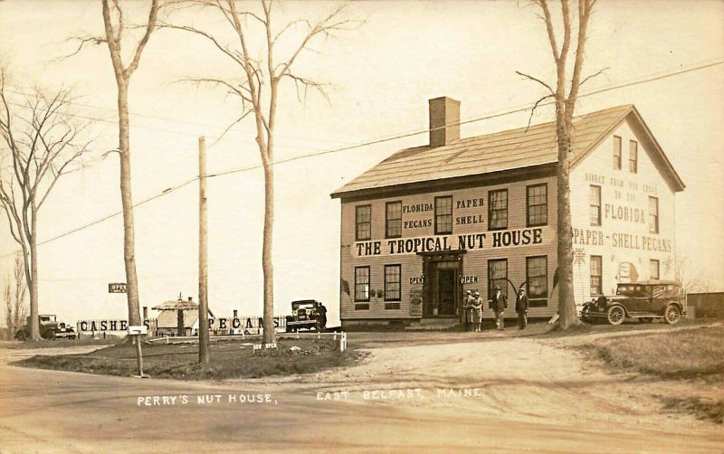 East Belfast ME Perry's Nut House Roadside Attraction Postcard