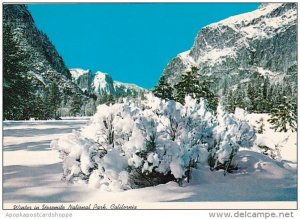 California Yosemite Winter In Yosemite National Park