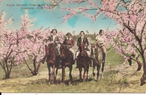 Pinehurst NC, Beautiful Women Riding Horses, 1937, Peach Blossoms, Albertype