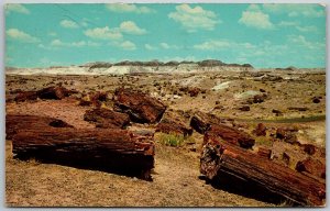 Petrified Forest National Park Arizona 1971 Postcard Long Logs