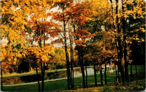 Camp Sequanota Autumn Scene Jennerstown PA Pennsylvania Postcard VTG UNP Koppel 