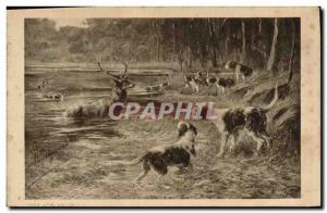 Postcard Old Dogs Dog Hunting Deer hounds has Hallali