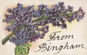 Greetings from BINGHAM Nottingham REAL GLITTER SPARKLE Antique Postcard