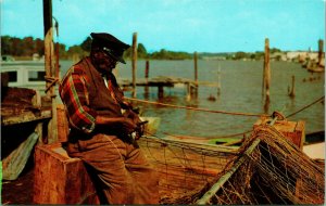 Typical Coastal Carolina Scene w Fisherman Dexter Press UNP Chrome Postcard Q17
