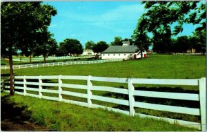 Horse Farm in the Heart of the Bluegrass Region Lexington Kentucky Postcard