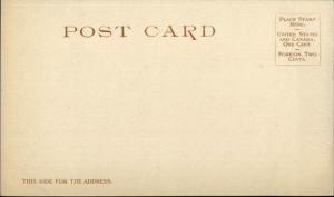 Steamer Ship Chippewa Niagara River Navigation Detroit Publishing Postcard