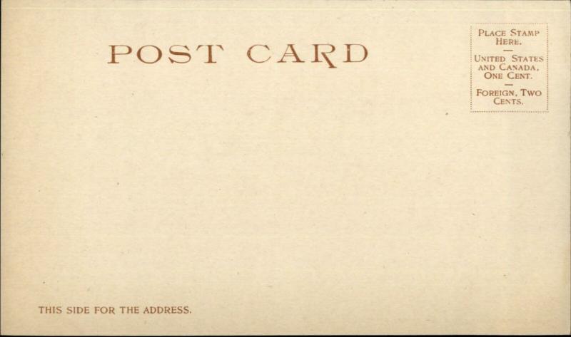 Steamer Ship Chippewa Niagara River Navigation Detroit Publishing Postcard