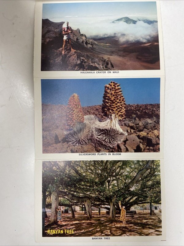 Here's Hawaii: The 50th State Souvenir Postcard Booklet - 12 Photos (1966)