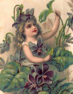 1880s Fantasy Cigar Box Labels Fairies Flowers Butterflies Cherub Set Of 7 #L