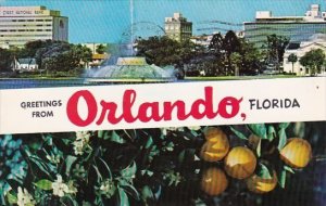 Florida Orlando Greetings From Orlando