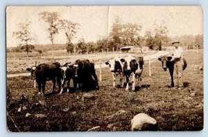 Man Postcard RPPC Photo Ranch Cattle Farmers Cows Field Scene c1910's Antique