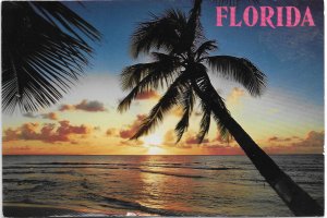 US Florida unused.  Graceful Palms on beautiful beaches.