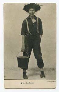 Postcard A Sunflower Goofy Guy Holding Bucket Wild Hair Standard View Card