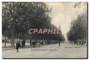 Old Postcard MONTPELLIER I'Esplanade