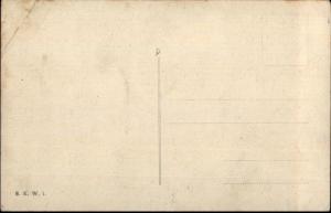 Propaganda Bauernfchrect Lion & Carcass E. Linzer - German WWI? Postcard