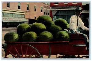 c1910 Melons As They Grow Arklavista Farm Fort Smith Arkansas Vintage Postcard