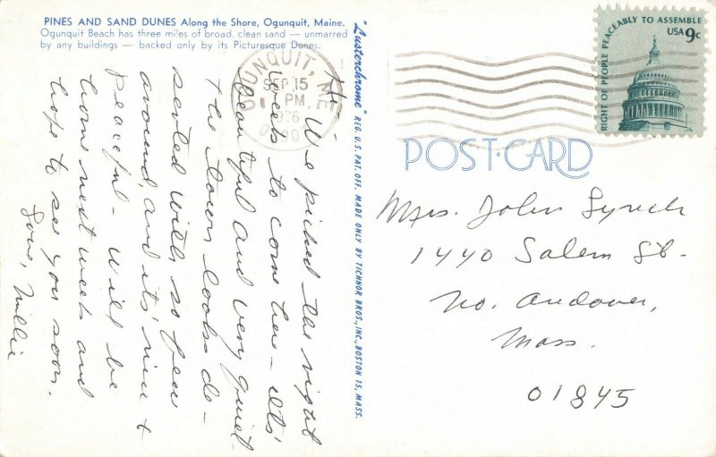 Postcard Pines Sand Dunes Ogunquit Maine