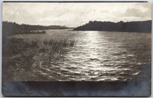 Lake Overlooking The Mountain Forest Trees Postcard