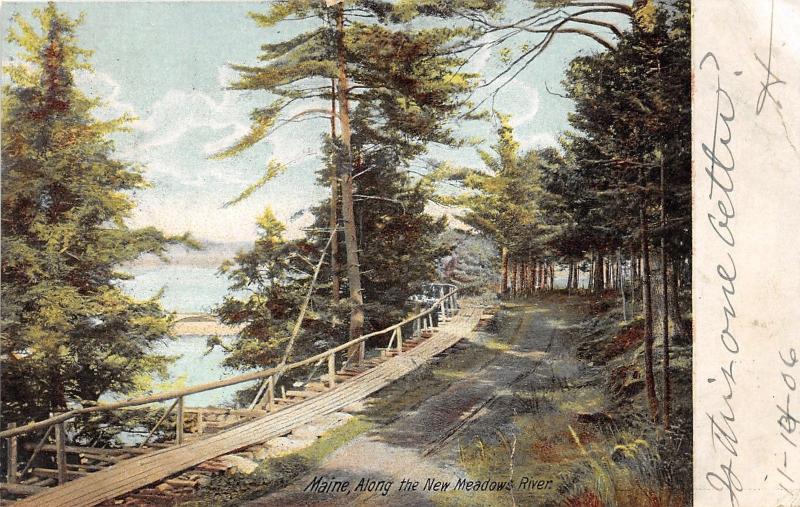 Maine~Scene along New Meadows River~Rustic Wooden Walkway~Evergreen Trees~1906