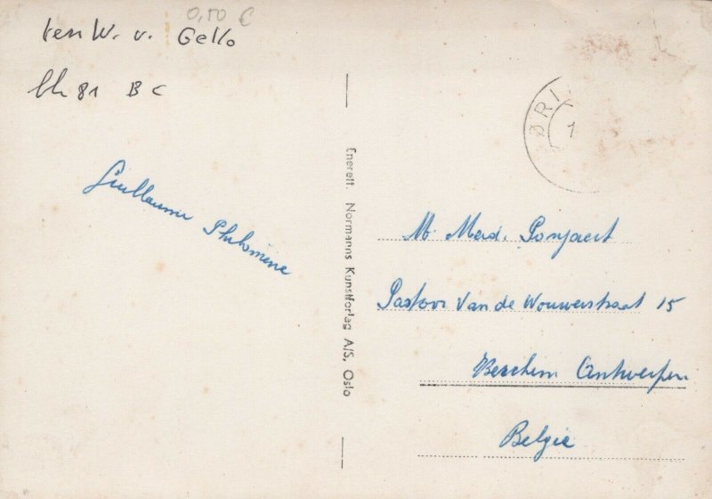 Norway Eidfjord Haugastøl Vintage RPPC BS18