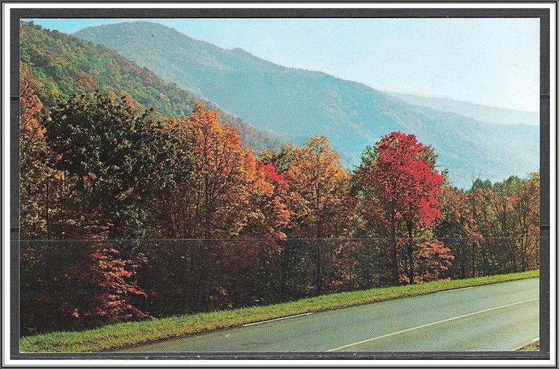 United States - Fall Colors Southern Appalachian Mountains - [MX-344]