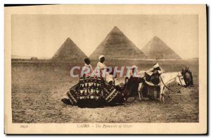 Postcard Ancient Egypt Egypt Cairo The Pyramids of Giza Donkey Mule