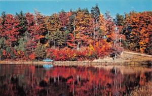 Branchport New York~Pine Lake~Finger Lakes~Guyanoga Valley~50s Car by Fall Trees