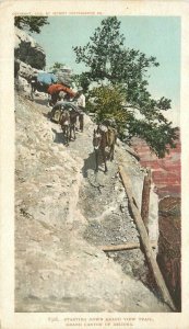 Arizona Grand Canyon Grand View Trail Grand Canyon C-1905 Postcard 22-7634