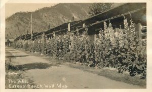 Postcard RPPC C-1910 Wyoming Wolf Eaton's Ranch occupation 23-12335