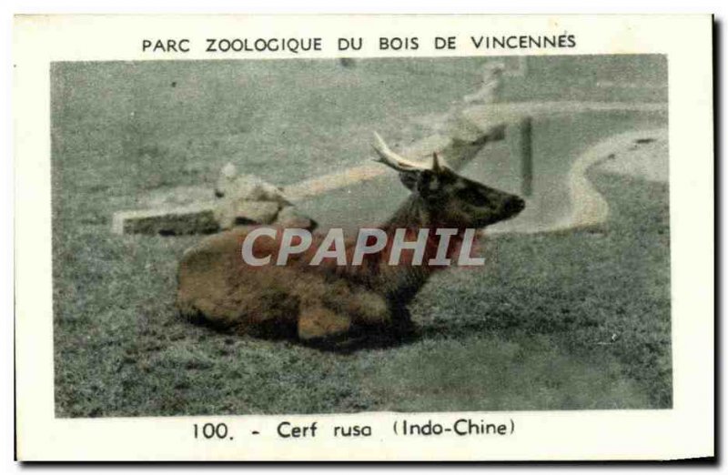 Image Zoological Park of Vincennes woods deer ruso Indo China