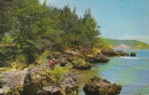 Barbados Bath Coast Fishing Spot