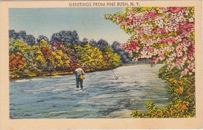 New York Greetings From Pine Bush 1948