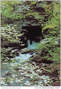 Arkansas Ozark National Forest Blanchard Springs