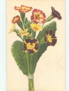 Divided-Back BEAUTIFUL FLOWERS SCENE Great Postcard AA3618