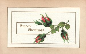 Vintage Postcard 1910's A Sincere Greetings Beautiful Red Young Flowers