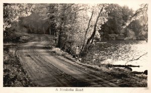 Vintage Postcard 1920's View of A Muskoka Road Ontario Canada CAN