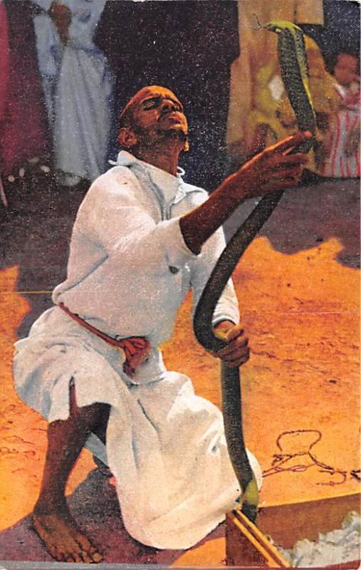 Maroc Le Charmeur De Serpents Circus Post Card Unused Hippostcard