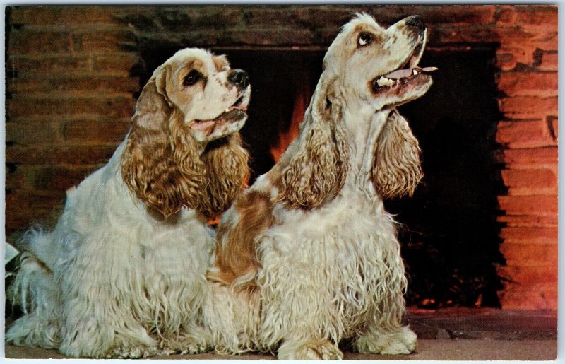 c1960s Adorable Cocker Spaniel Dogs Fireplace It's Cold Outside Cute Pup A307