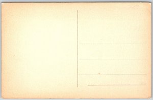 Troense Gronnegade  Denmark 1920s Postcard Street Scene Bicycle