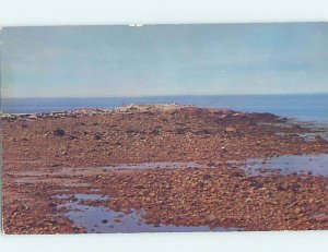Pre-1980 SHORELINE Brant Rock In Marshfield by Brocton & Quincy Boston MA AD5584