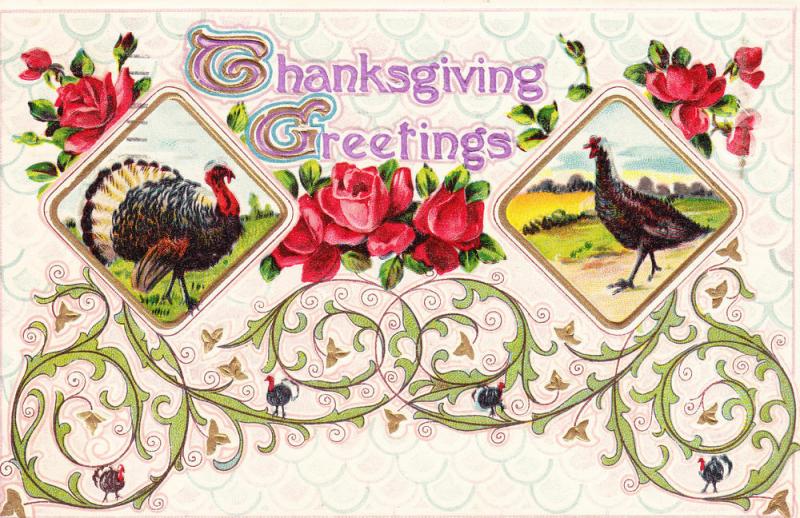 Thanksgiving 1911  Turkeys - Embossed