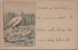 Postcard Baby Announcement Stork Arrived Fine Baby c. 1900s