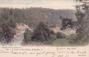 A Scene In The Canyon Ashtabula Ohio 1905