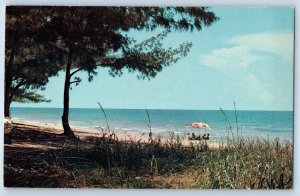 1960 Ft. Pierce Beach Florida Vintage Postcard Trees Sea Waves Exterior Unposted