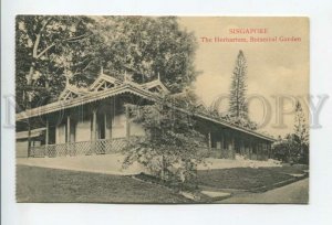 432719 Singapore Herbarium Botanical Garden Vintage postcard